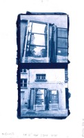 Cyanotype on on Bristol drawing paper