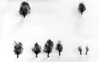 Snow by Kiarostami