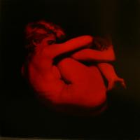 Massimo Attardi's bichromate gum