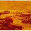 Monochromatic pictures on darkroom color paper Monochromatic pictures on darkroom color paper