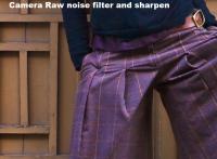 Sharpen e noise integrati in Camera Raw