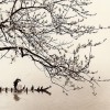 Il vuoto e il pieno di Qiu Anxiong Il vuoto e il pieno di Qiu Anxiong