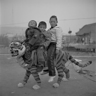 ﻿与严明的访谈