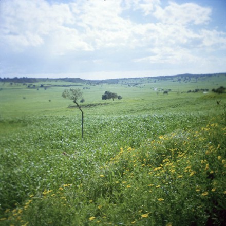 Fotografia di Steven Nestor (5)