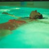 Fotografie di sogni, di Sara Bugoloni Fotografie di sogni, di Sara Bugoloni