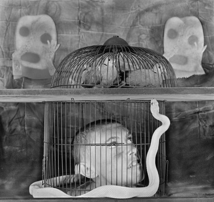 Photo by Roger Ballen: Caged