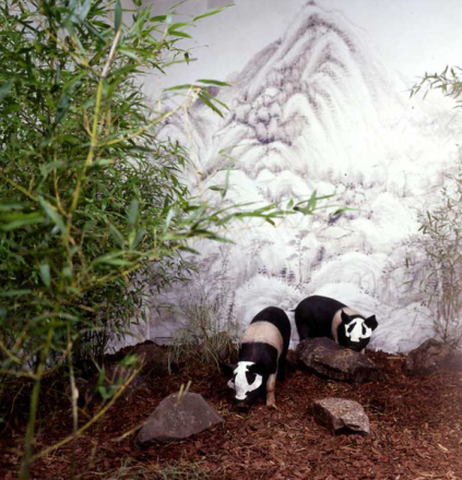 Panda Zoo©  Xu Bing